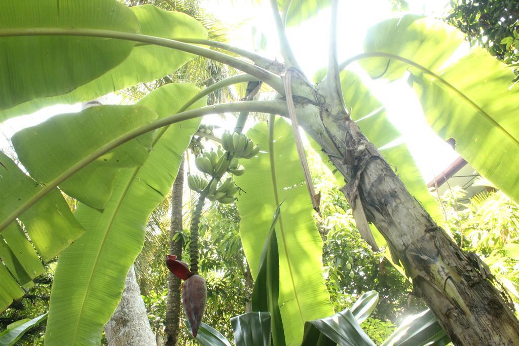 Dionis Villa Unawatuna Luaran gambar